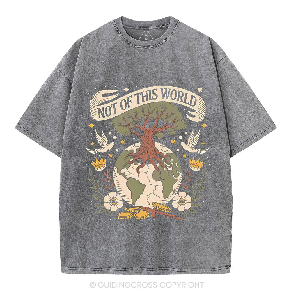 Not Of This World Christian Washed T-Shirt
