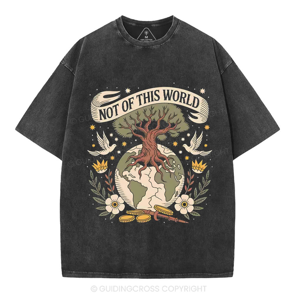 Not Of This World Christian Washed T-Shirt