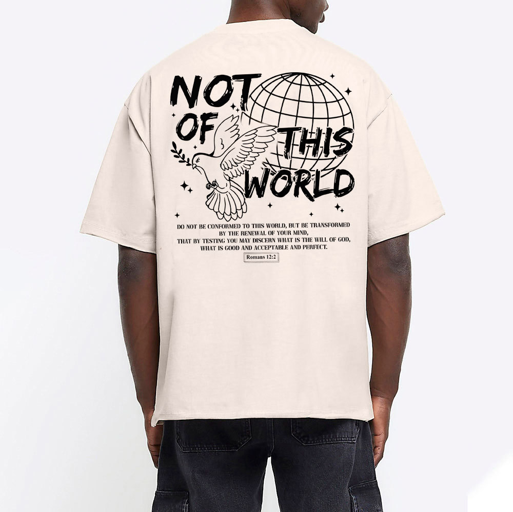 Not Of Thos World Christian Washed T-Shirt