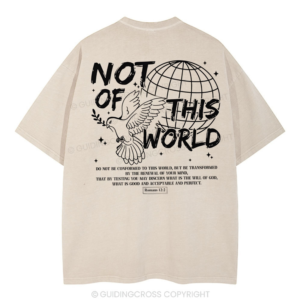Not Of Thos World Christian Washed T-Shirt