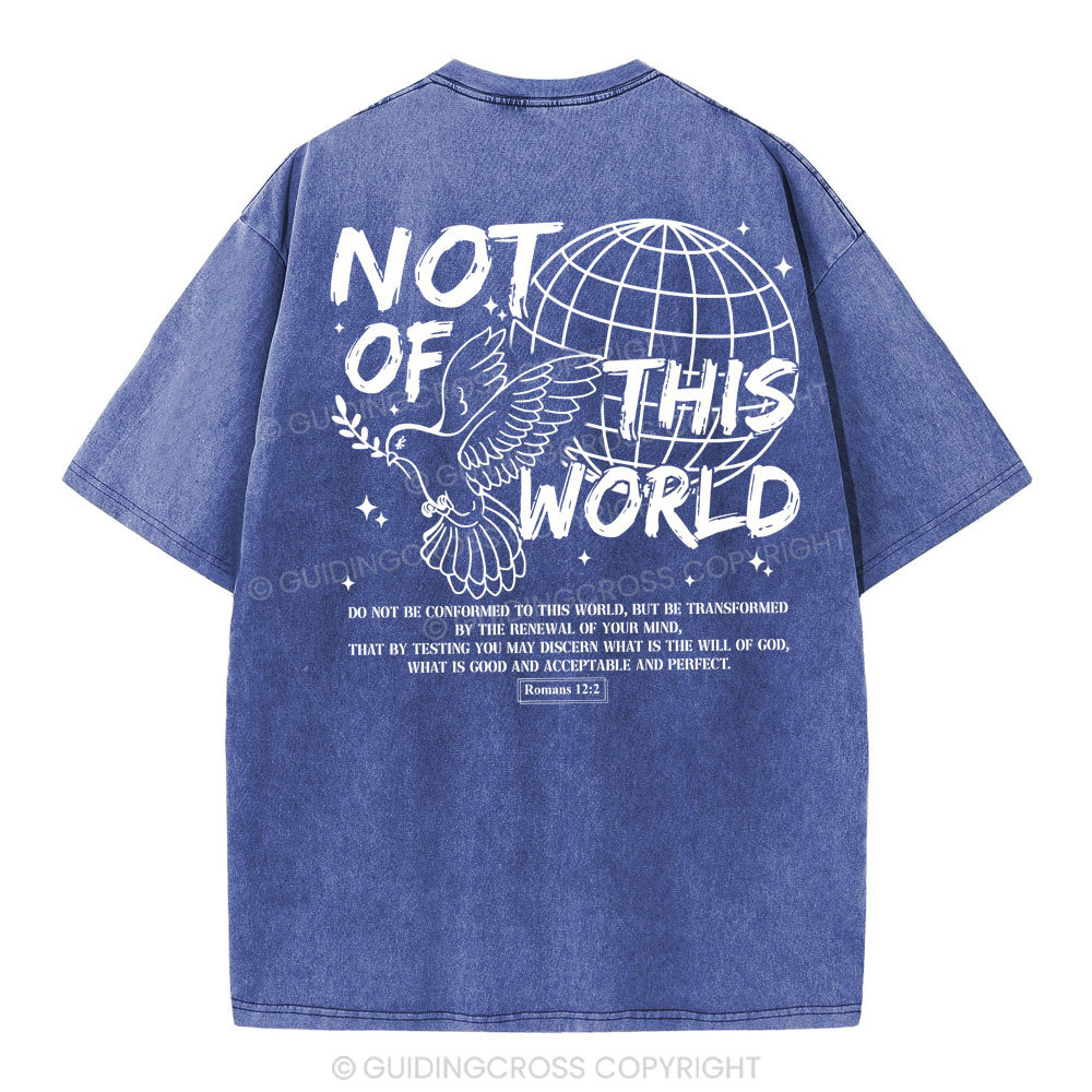 Not Of Thos World Christian Washed T-Shirt