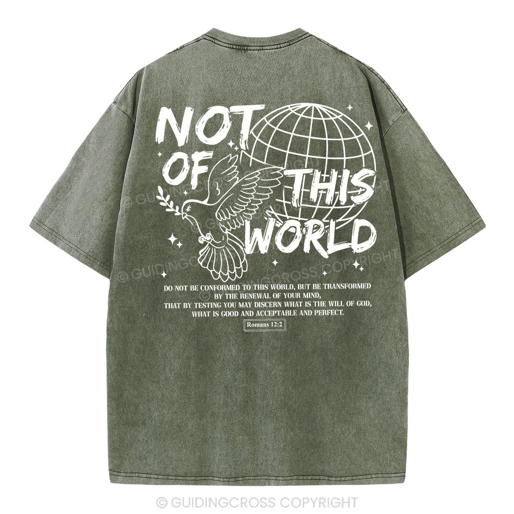 Not Of Thos World Christian Washed T-Shirt