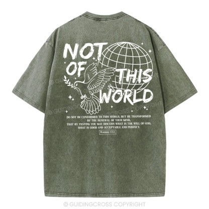 Not Of Thos World Christian Washed T-Shirt