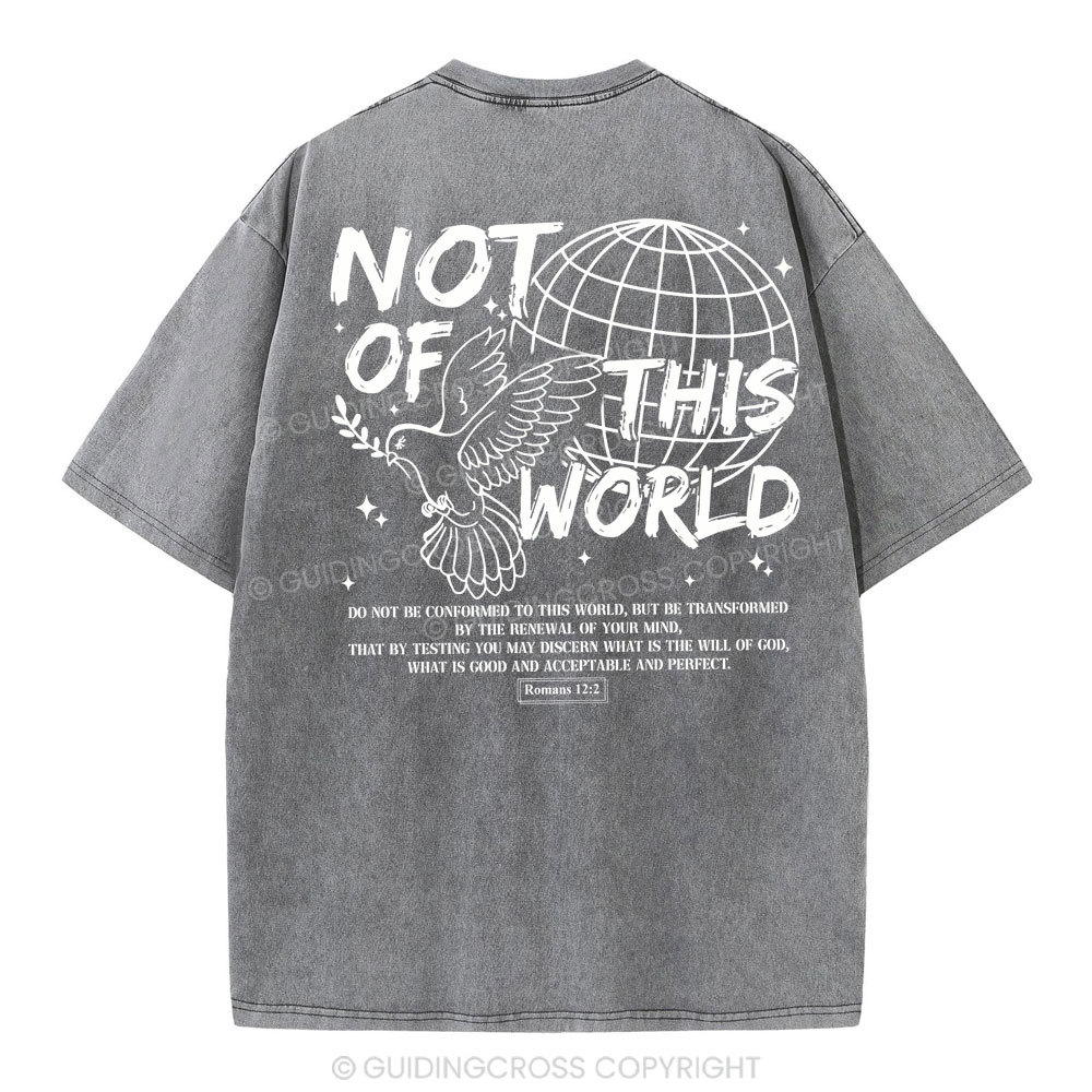 Not Of Thos World Christian Washed T-Shirt