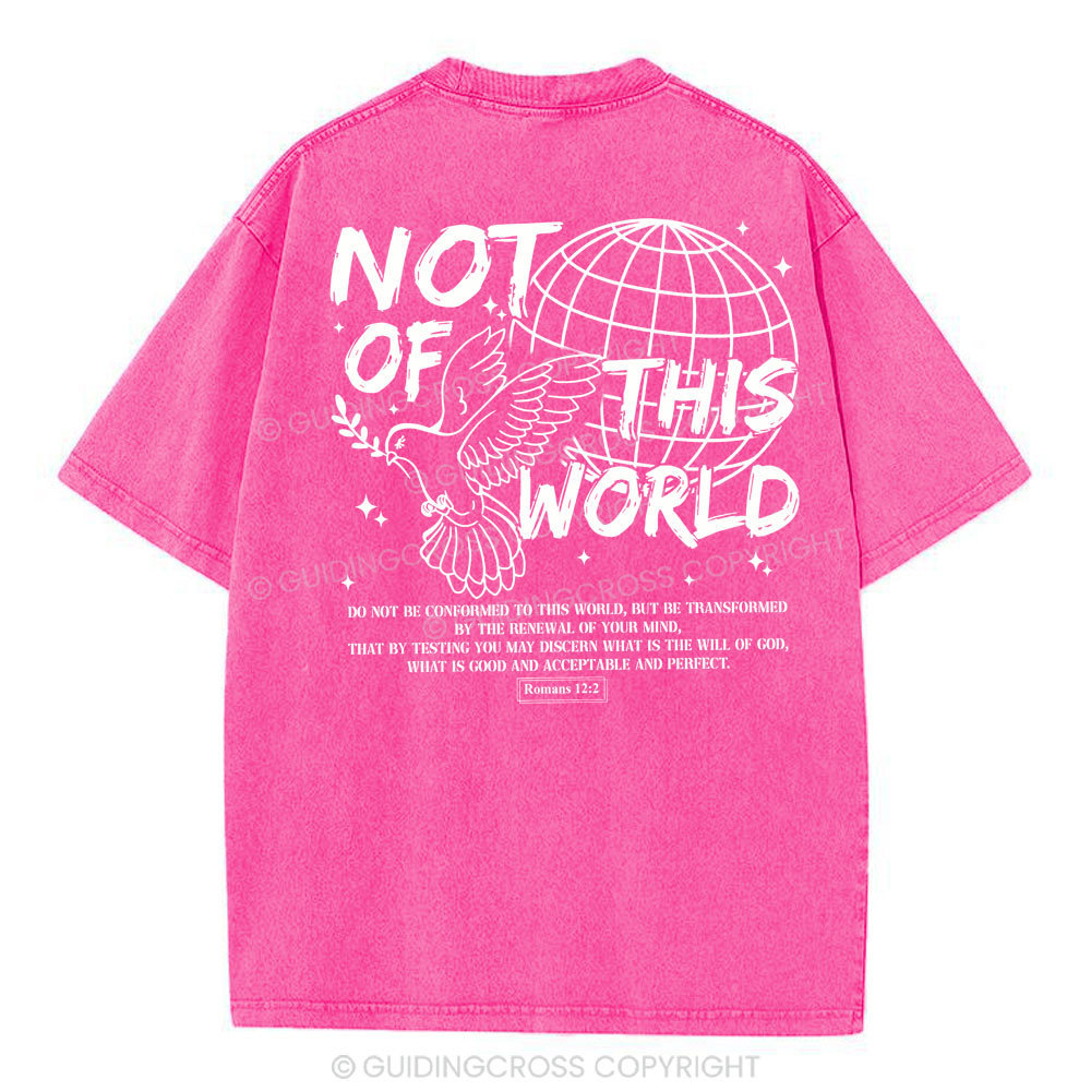 Not Of Thos World Christian Washed T-Shirt
