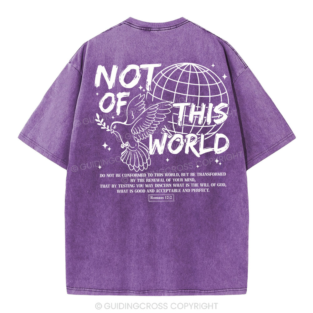 Not Of Thos World Christian Washed T-Shirt