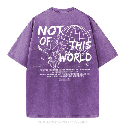 Not Of Thos World Christian Washed T-Shirt