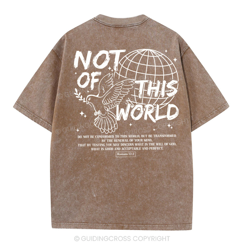 Not Of Thos World Christian Washed T-Shirt