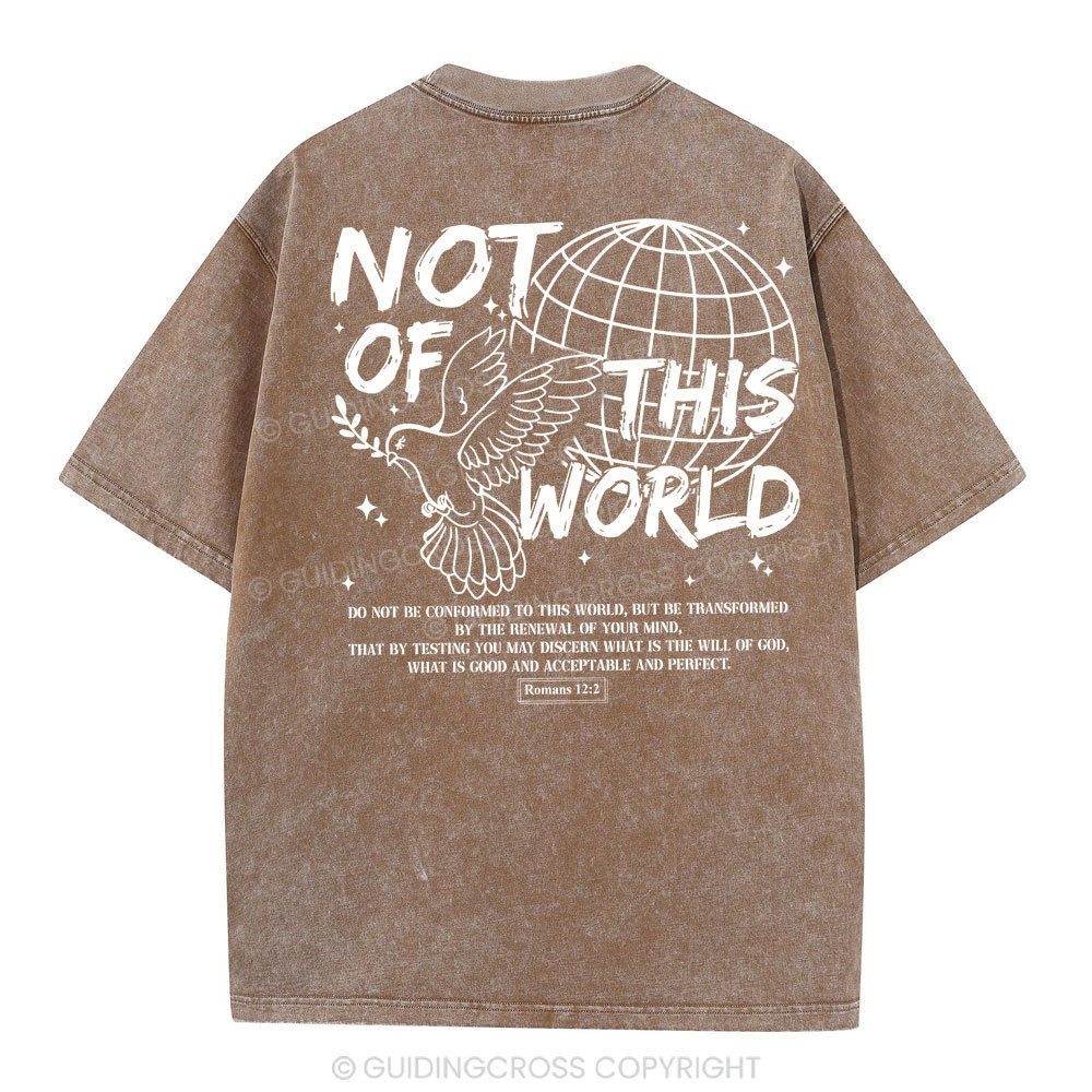 Not Of Thos World Christian Washed T-Shirt