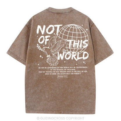 Not Of Thos World Christian Washed T-Shirt