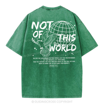 Not Of Thos World Christian Washed T-Shirt