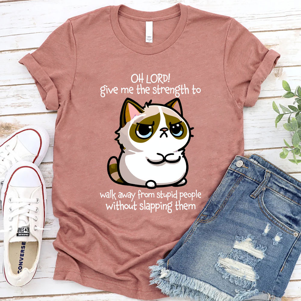 Oh Lord Give Me The Strength To Walk Away From Stupid  People Without Slapping Them Christian T-Shirt