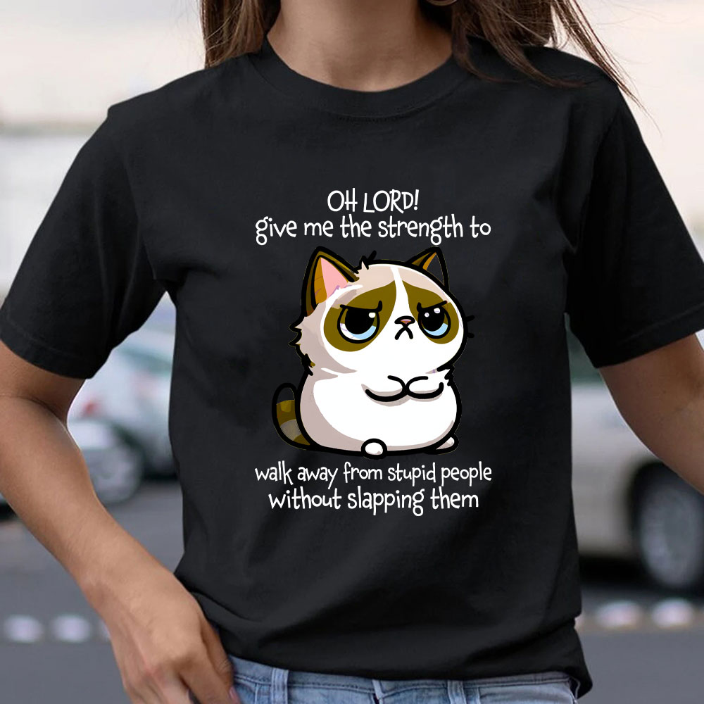 Oh Lord Give Me The Strength To Walk Away From Stupid  People Without Slapping Them Christian T-Shirt