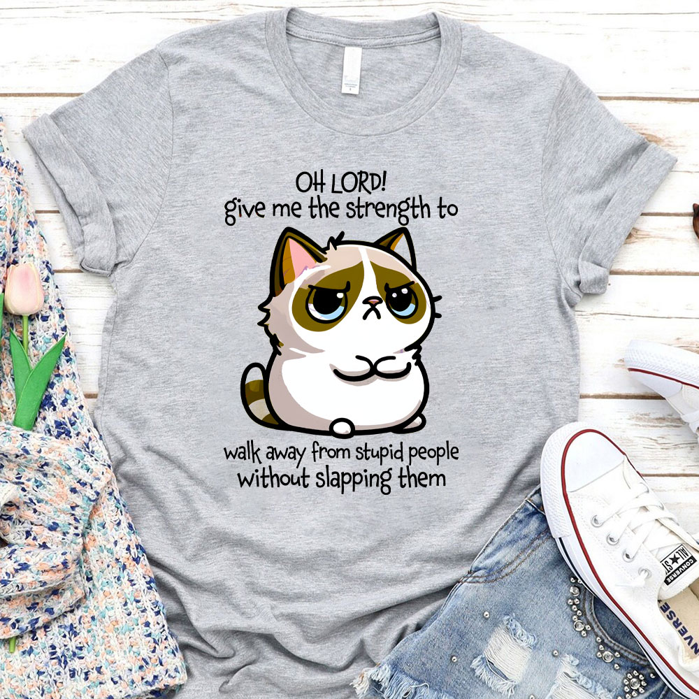 Oh Lord Give Me The Strength To Walk Away From Stupid  People Without Slapping Them Christian T-Shirt
