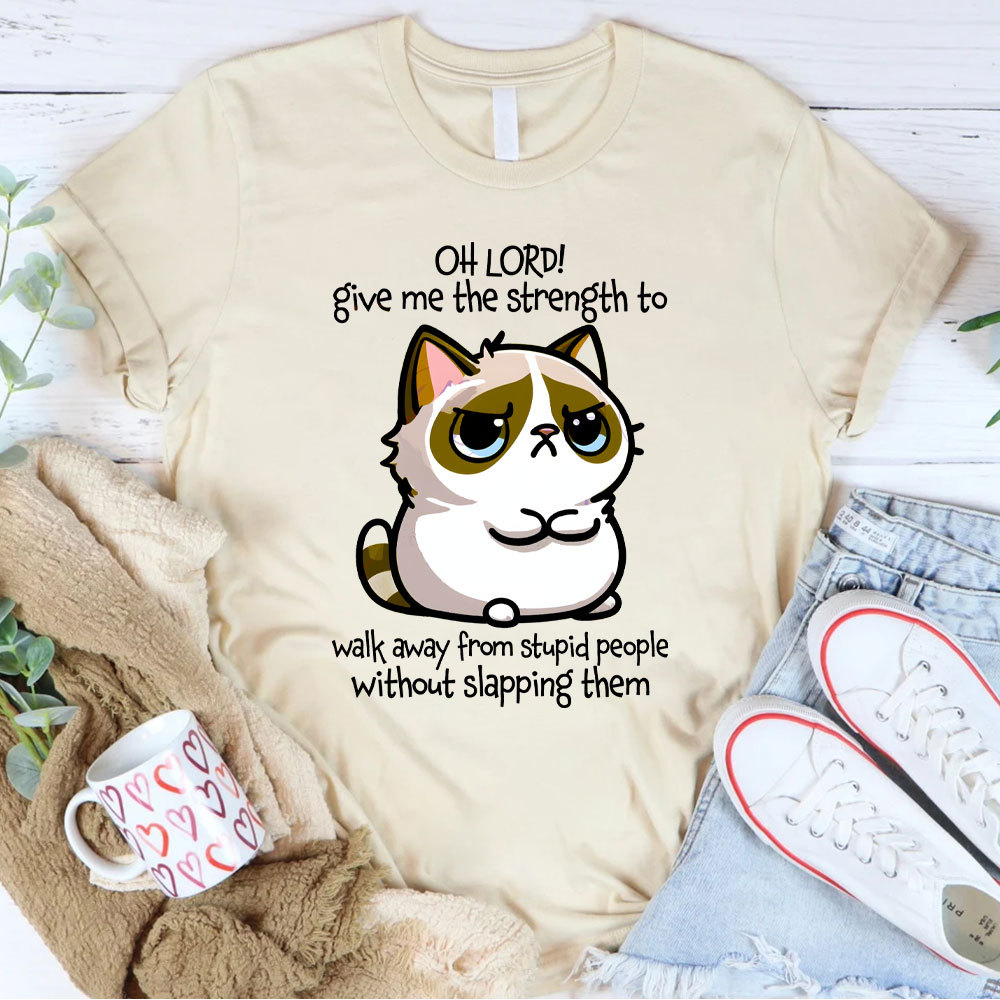 Oh Lord Give Me The Strength To Walk Away From Stupid  People Without Slapping Them Christian T-Shirt
