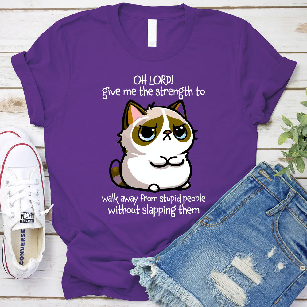 Oh Lord Give Me The Strength To Walk Away From Stupid  People Without Slapping Them Christian T-Shirt
