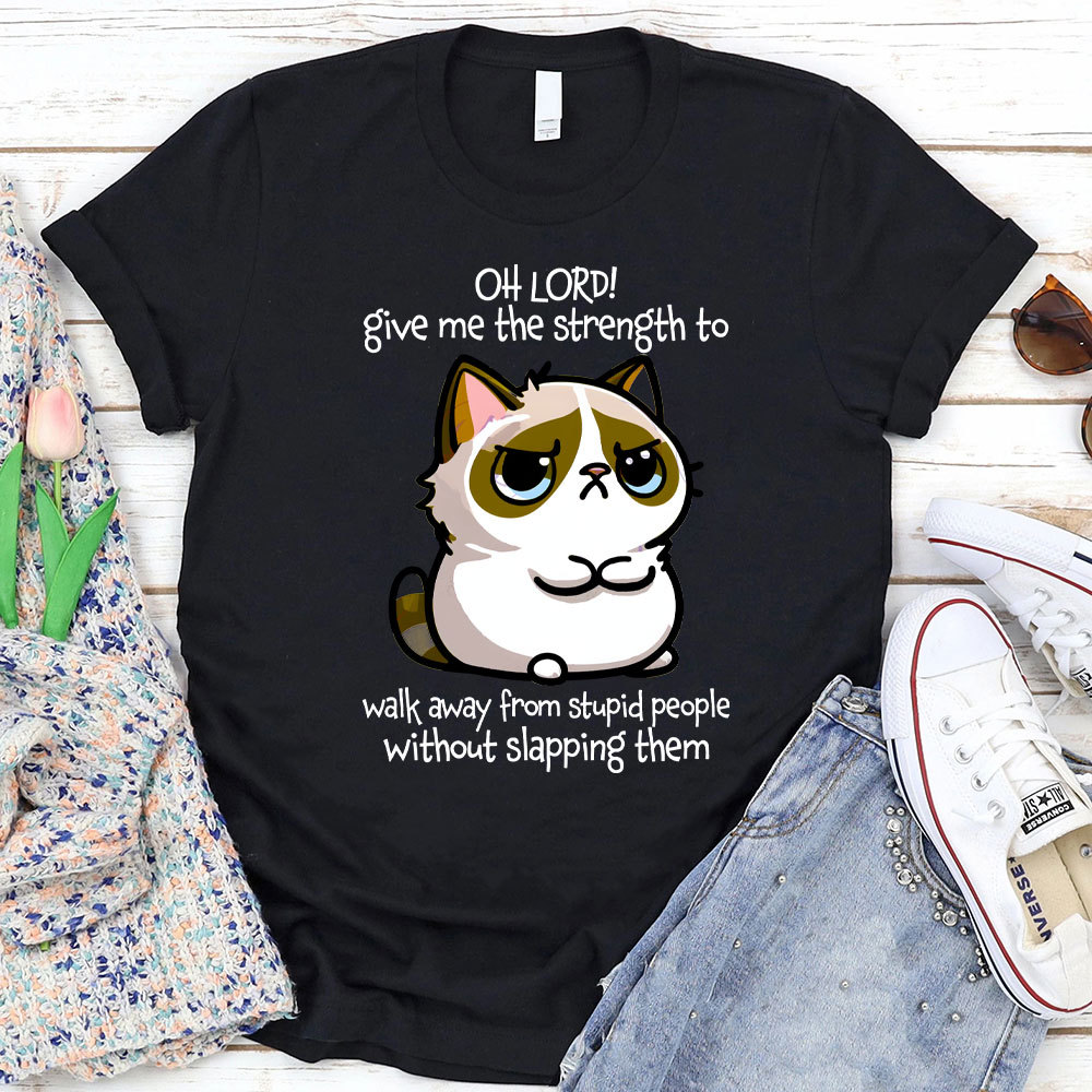 Oh Lord Give Me The Strength To Walk Away From Stupid  People Without Slapping Them Christian T-Shirt