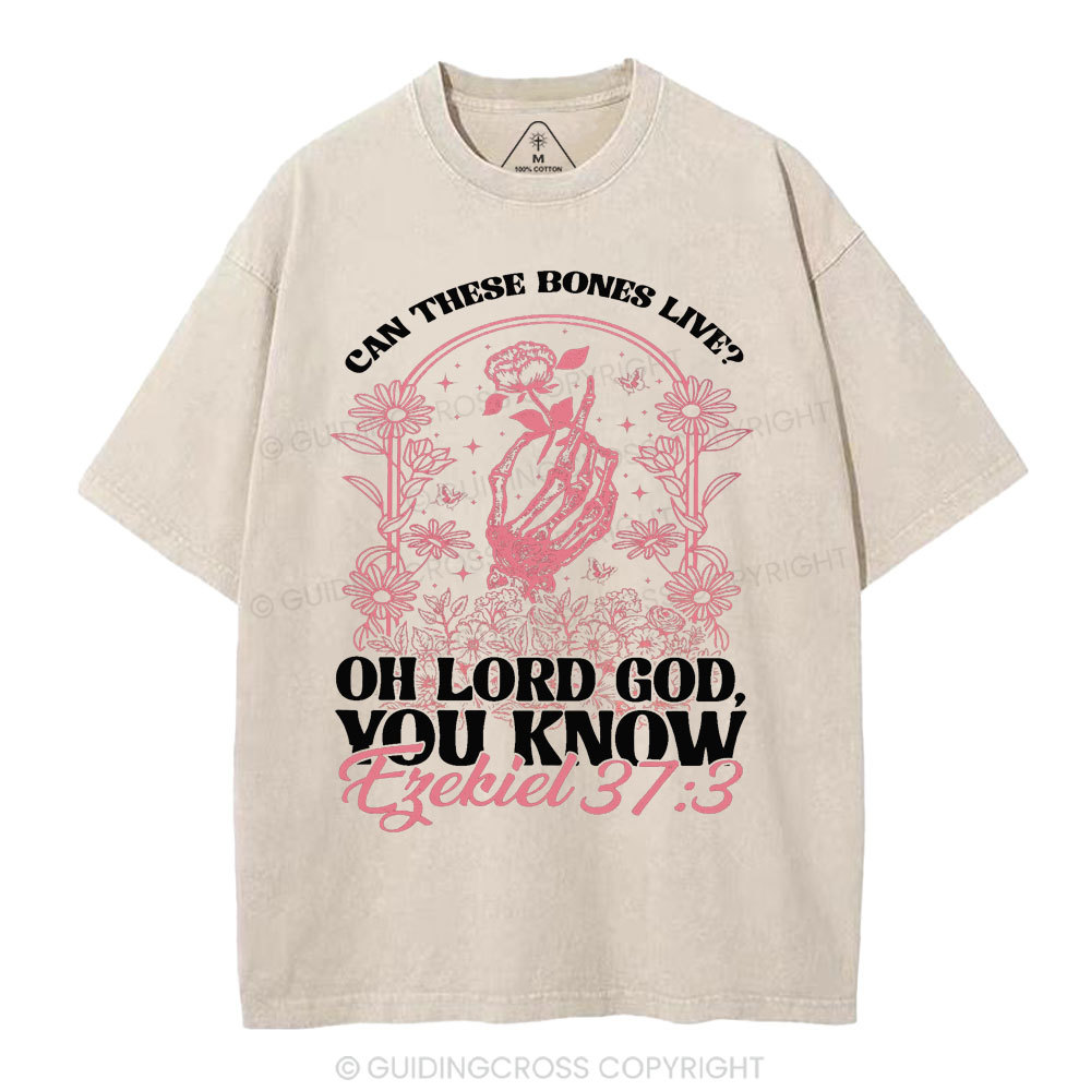 Oh Lord God You Know Christian Washed T-Shirt