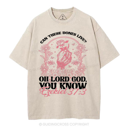 Oh Lord God You Know Christian Washed T-Shirt