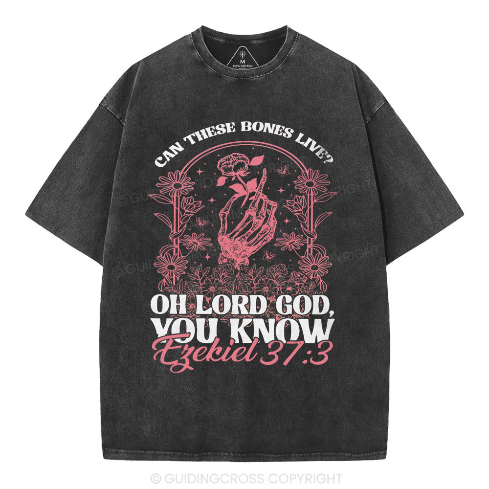 Oh Lord God You Know Christian Washed T-Shirt