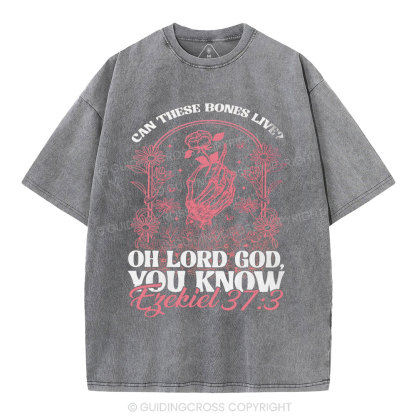 Oh Lord God You Know Christian Washed T-Shirt