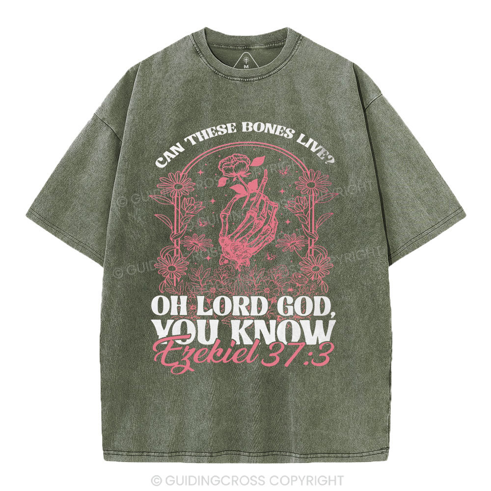 Oh Lord God You Know Christian Washed T-Shirt