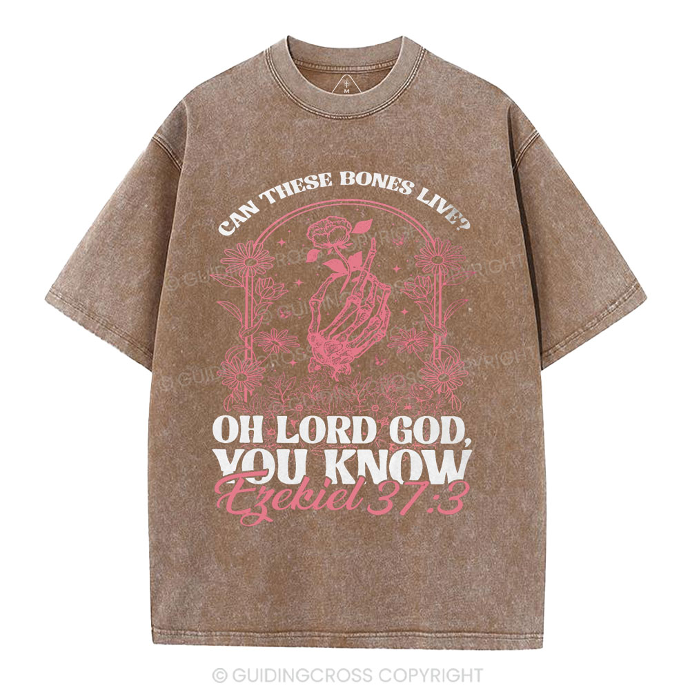 Oh Lord God You Know Christian Washed T-Shirt