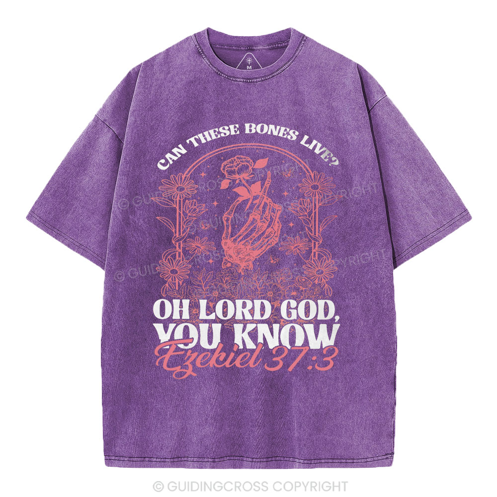 Oh Lord God You Know Christian Washed T-Shirt