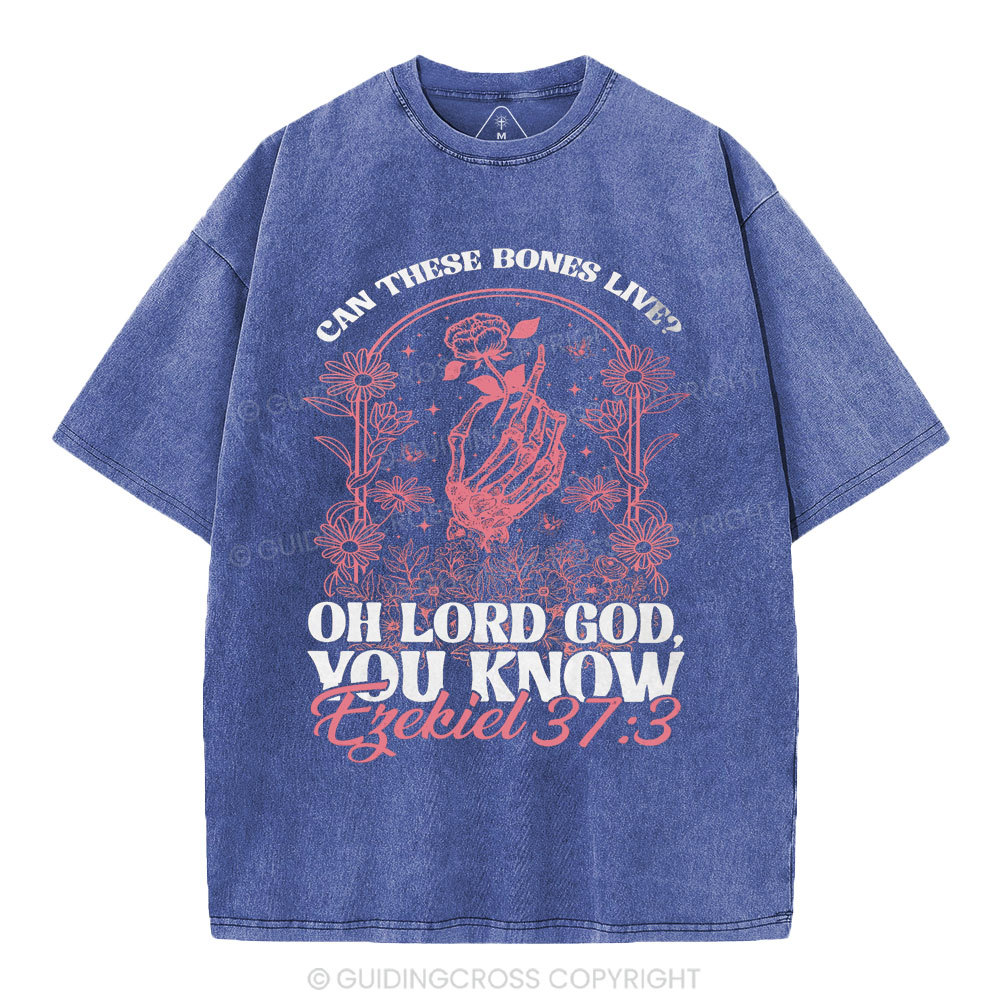 Oh Lord God You Know Christian Washed T-Shirt