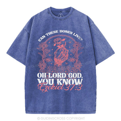 Oh Lord God You Know Christian Washed T-Shirt