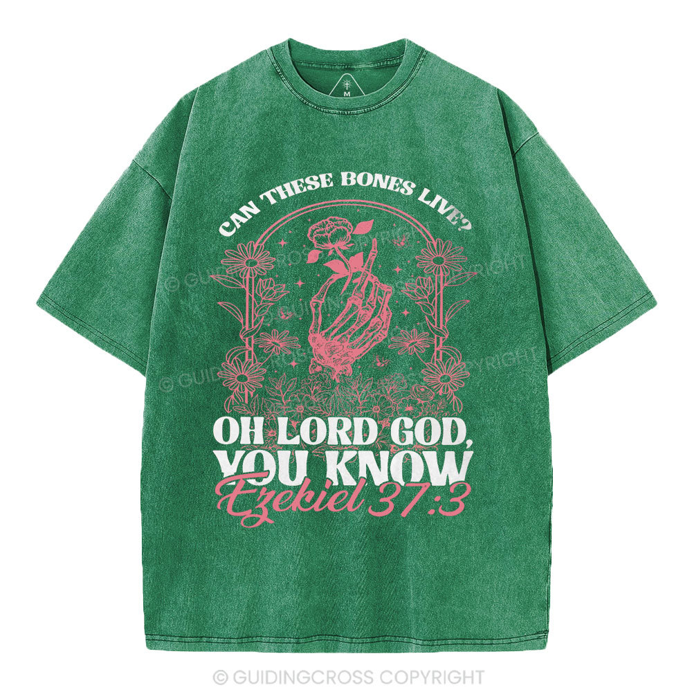 Oh Lord God You Know Christian Washed T-Shirt