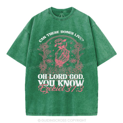 Oh Lord God You Know Christian Washed T-Shirt