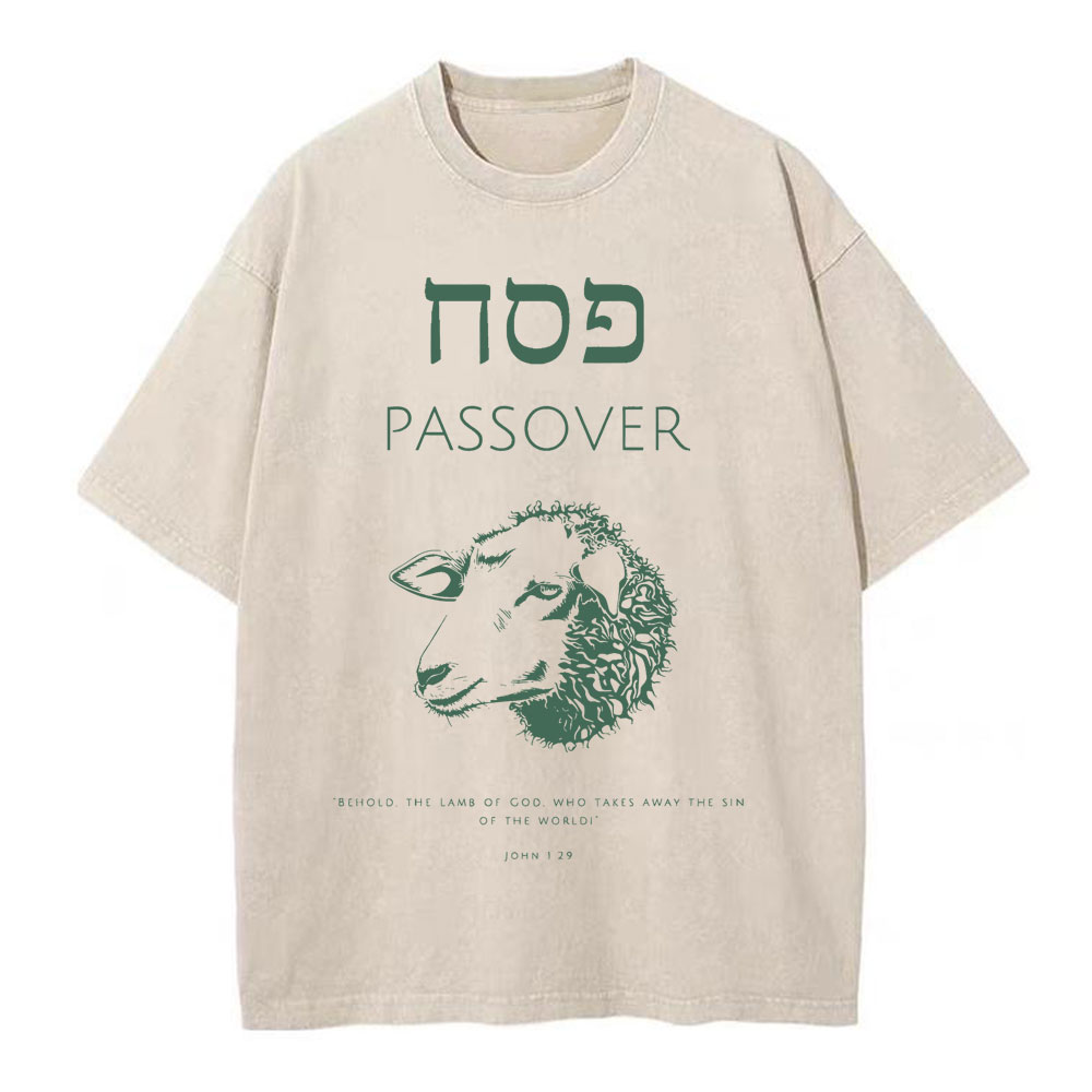Passover Chirstian Washed T-Shirt
