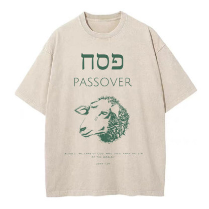 Passover Chirstian Washed T-Shirt