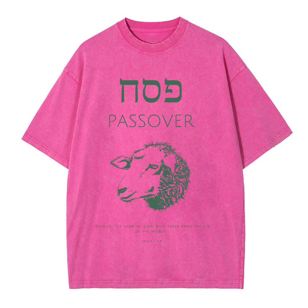 Passover Chirstian Washed T-Shirt