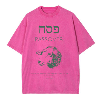 Passover Chirstian Washed T-Shirt
