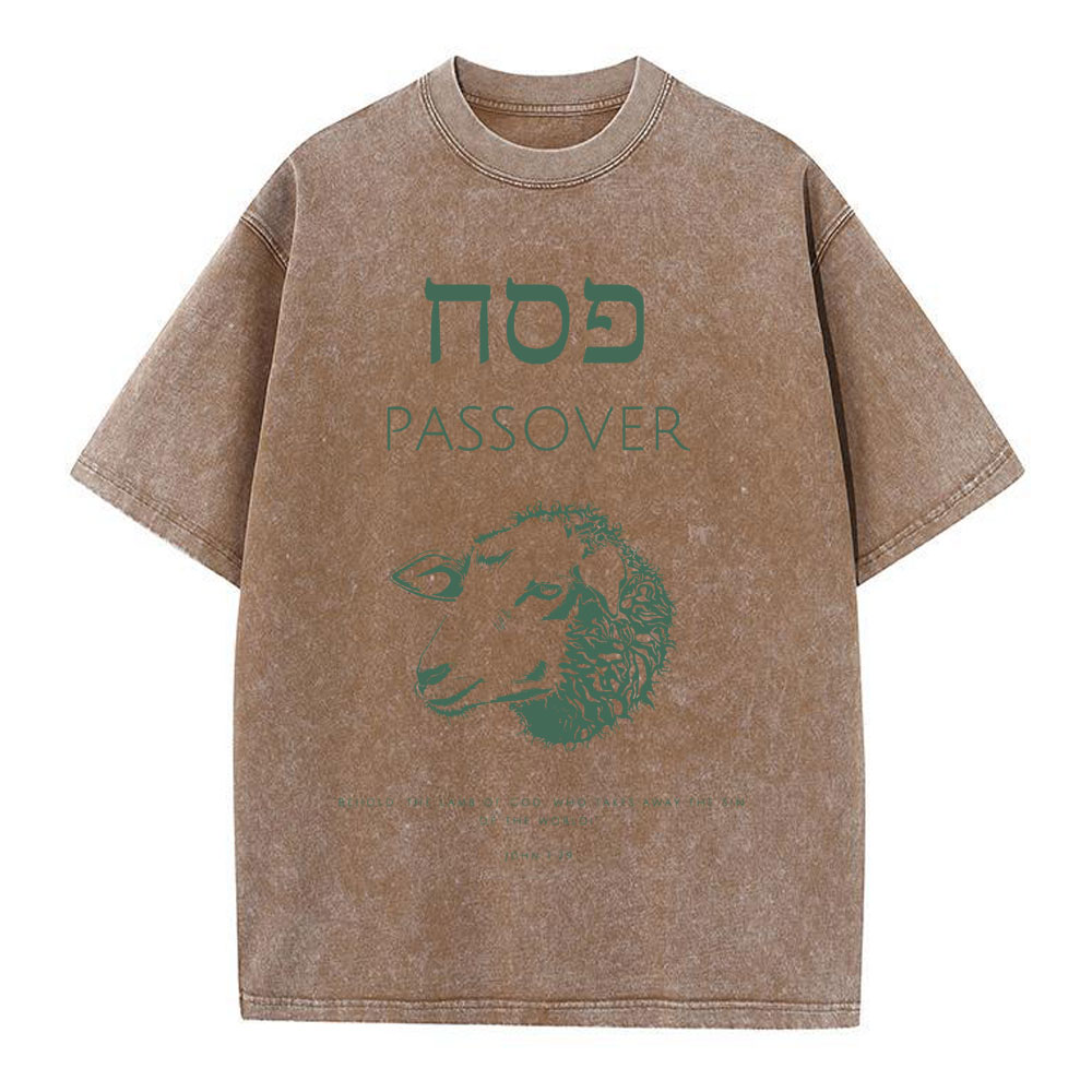 Passover Chirstian Washed T-Shirt