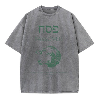 Passover Chirstian Washed T-Shirt