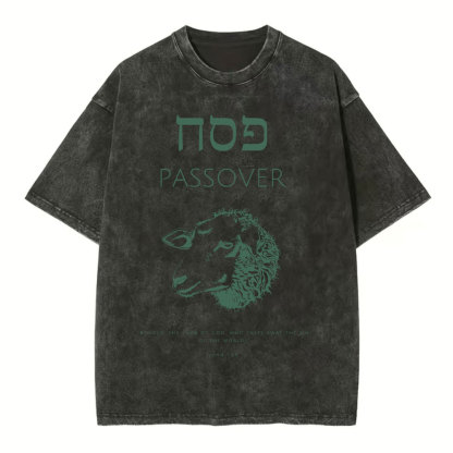 Passover Chirstian Washed T-Shirt