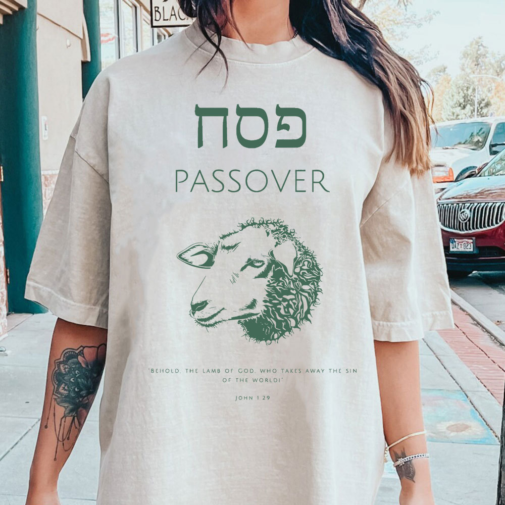 Passover Chirstian Washed T-Shirt