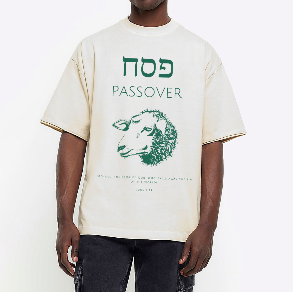 Passover Chirstian Washed T-Shirt
