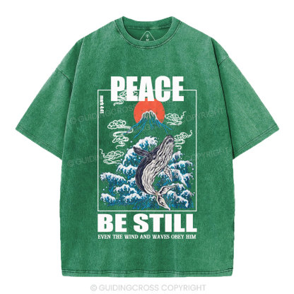 Peace Be Still Christian Washed T-Shirt