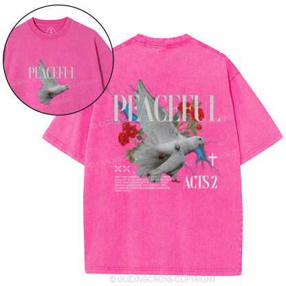Peaceful Christian Washed T-Shirt