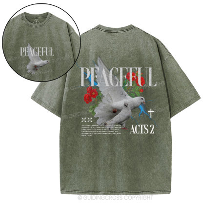 Peaceful Christian Washed T-Shirt