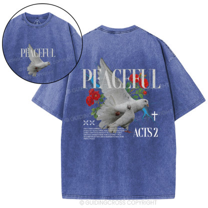 Peaceful Christian Washed T-Shirt