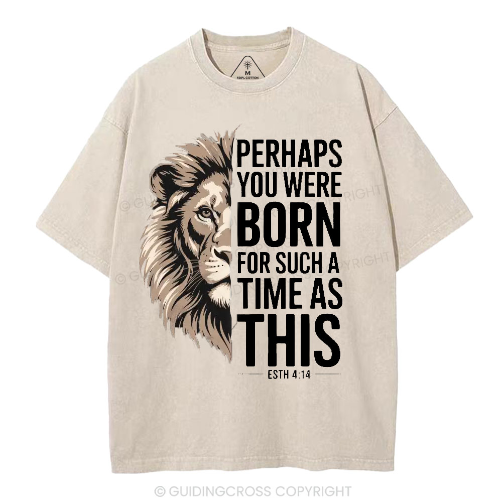 Perhaps You Were Born For Such A Time As This Christian Washed T-Shirt