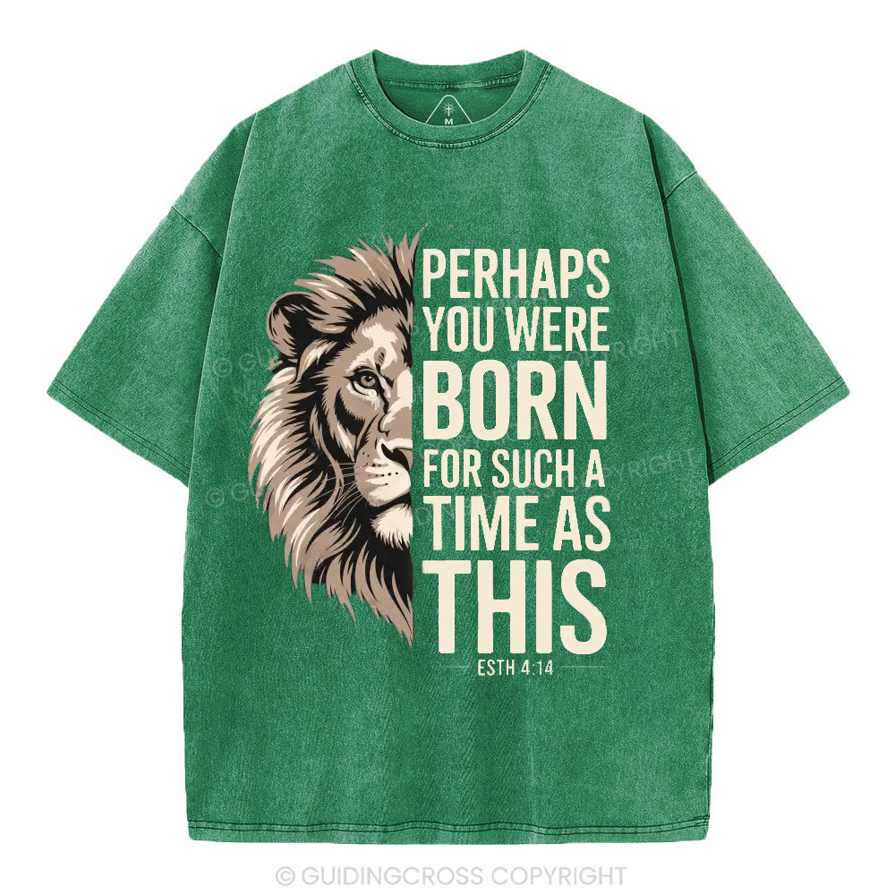 Perhaps You Were Born For Such A Time As This Christian Washed T-Shirt