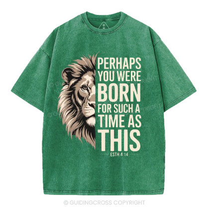 Perhaps You Were Born For Such A Time As This Christian Washed T-Shirt