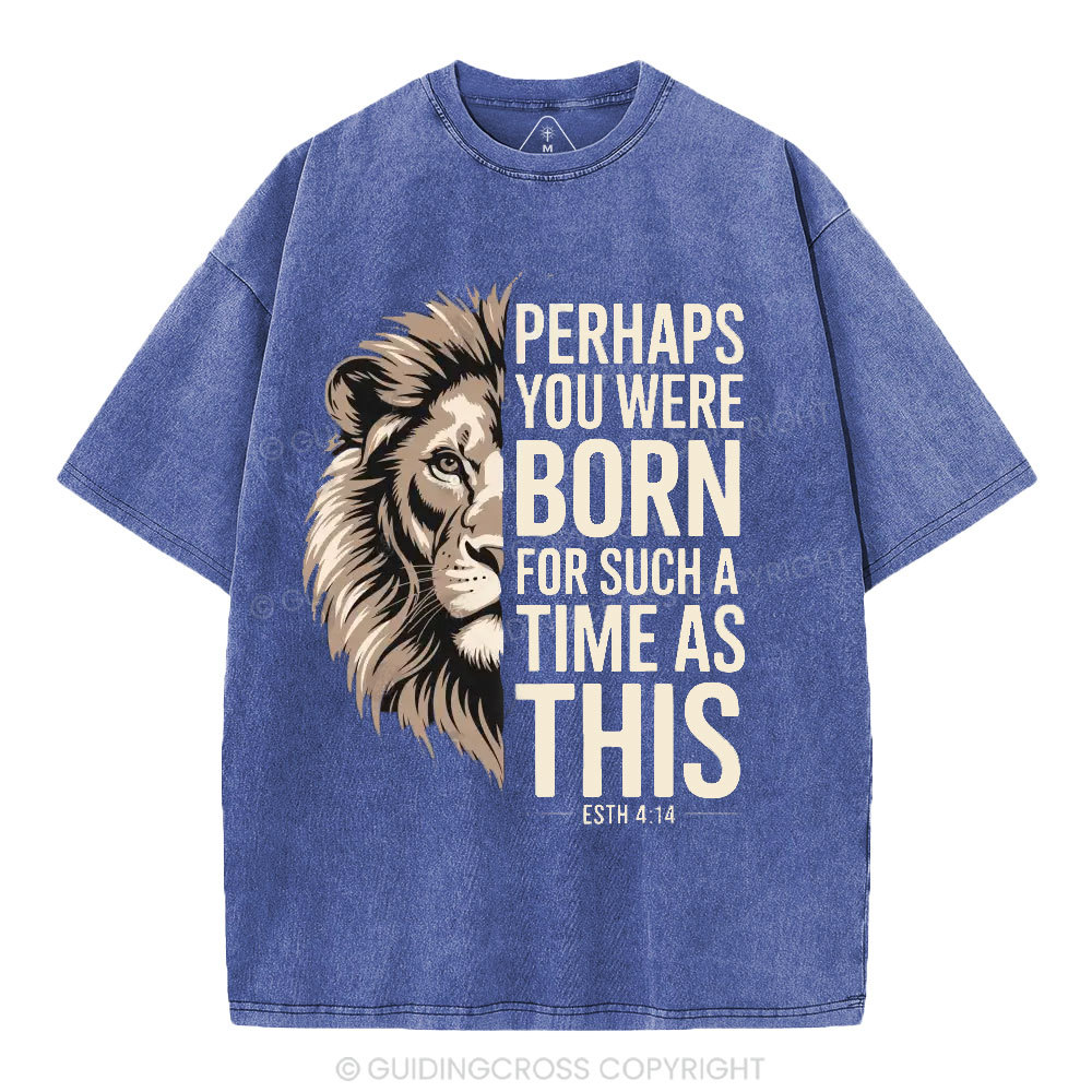 Perhaps You Were Born For Such A Time As This Christian Washed T-Shirt