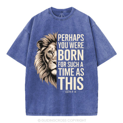 Perhaps You Were Born For Such A Time As This Christian Washed T-Shirt